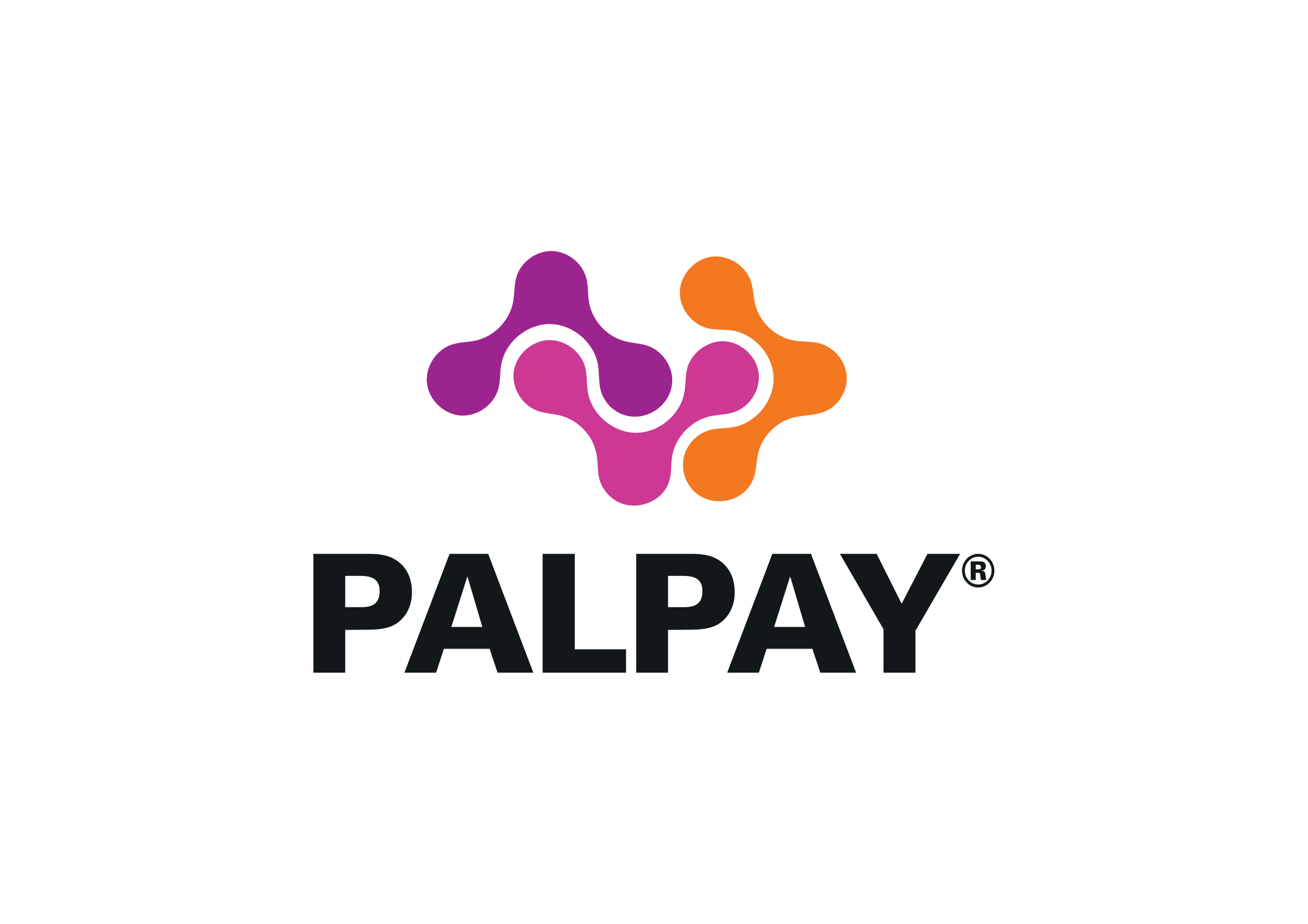 PALPAY LOGO V1-1